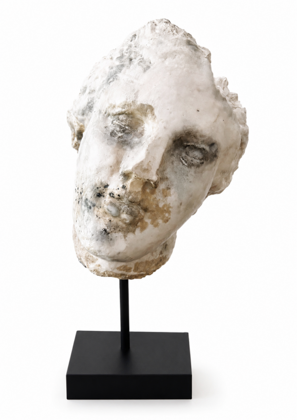 Afrodite Lacerto XXXVI – Bianco