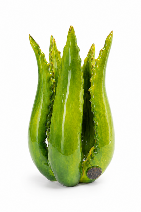 Agave Chiusa Verde Frantoio